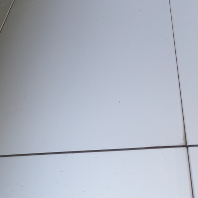 Poorten in zelfde vlak - prijzen garage poorten,sectionale poorten privé , prijzen zonnewering 